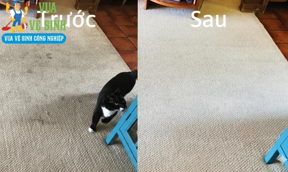 Dịch vụ giặt thảm Cần Giờ