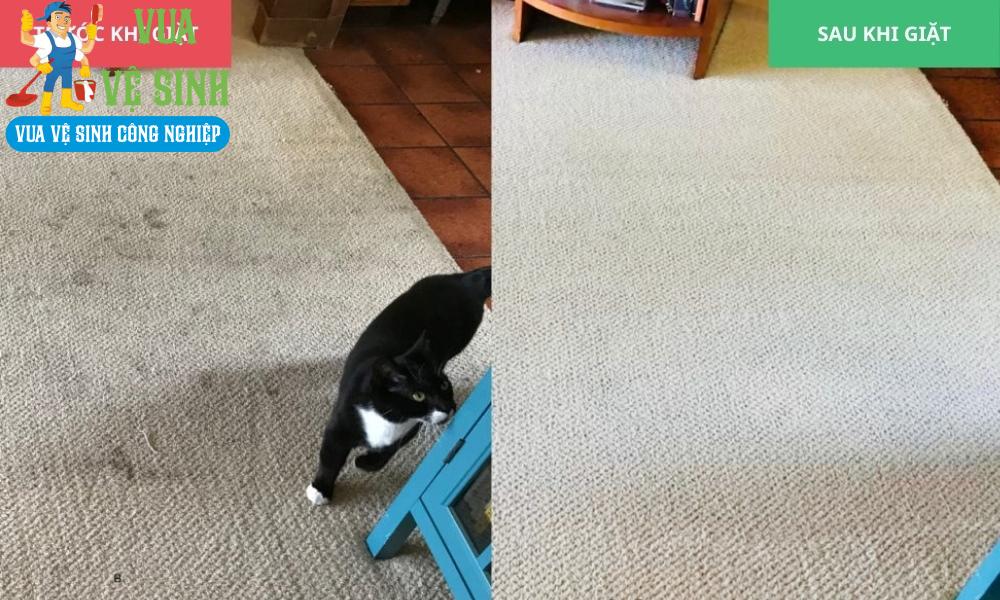 Dịch vụ giặt thảm quận 3